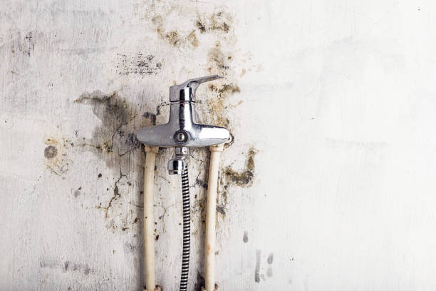 Best Water Damage Restoration  in Waldorf, MD