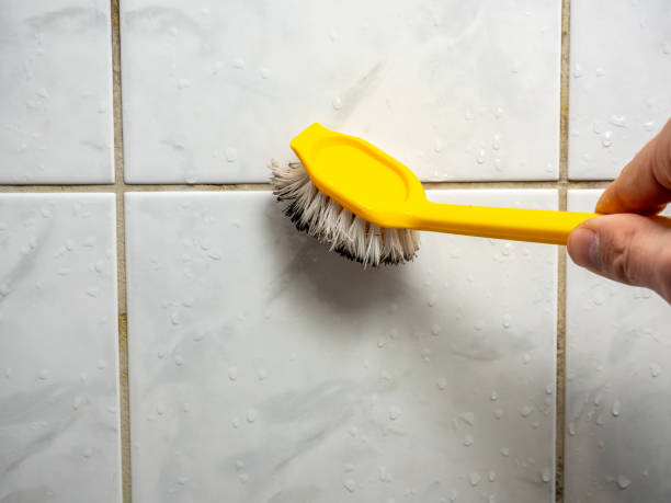 Best Mold Removal Company Near Me  in Waldorf, MD