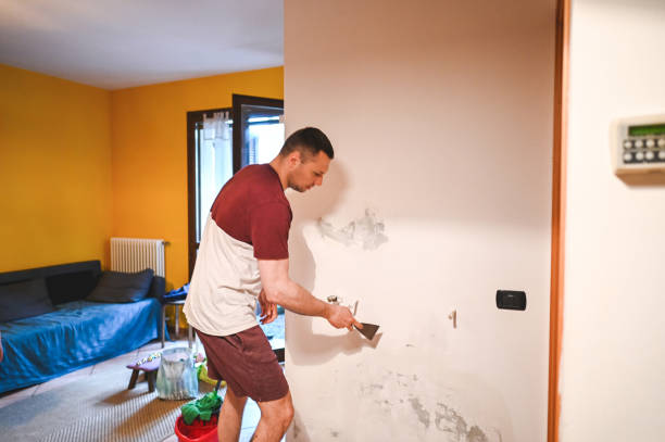 Attic Mold Removal in Waldorf, MD